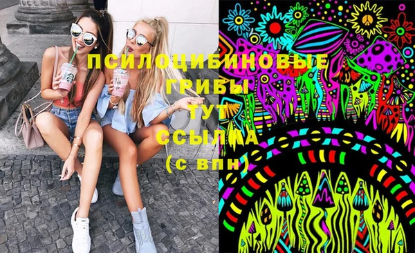 прущие грибы Верхнеуральск