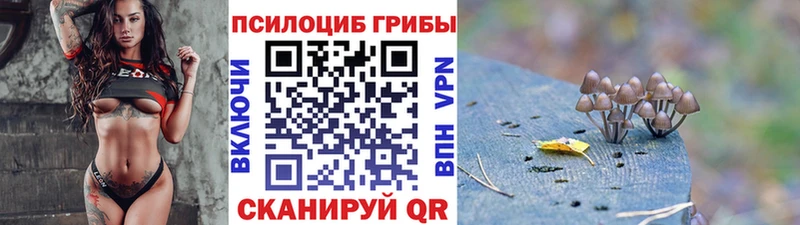 Купить закладки  Красноуральск  Галлюциногенные грибы Cubensis 